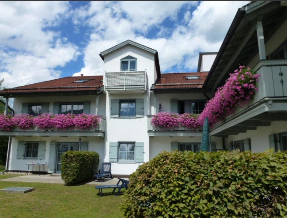 Ferienwohnanlage Bruennstein Wohnung 54 Oberaudorf Exteriér fotografie